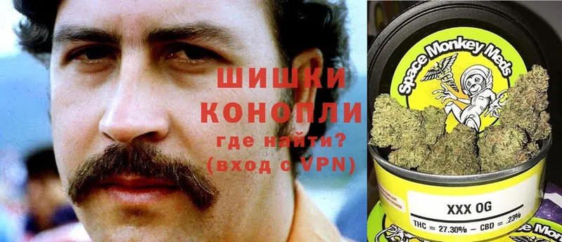 где купить наркоту  Микунь  Бошки Шишки OG Kush 